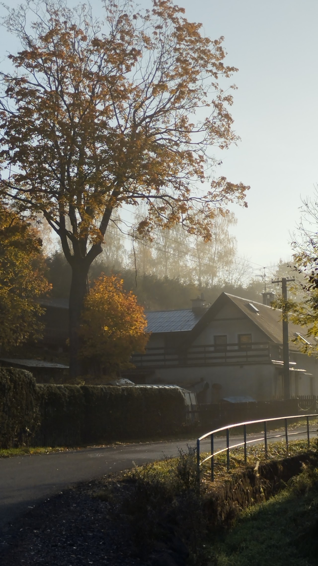 Letní kino Bojiště Trutnov
